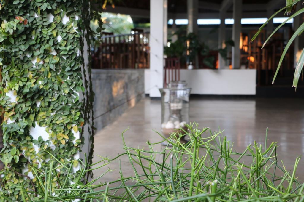 Brook Boutique Otel Melsiripura Dış mekan fotoğraf
